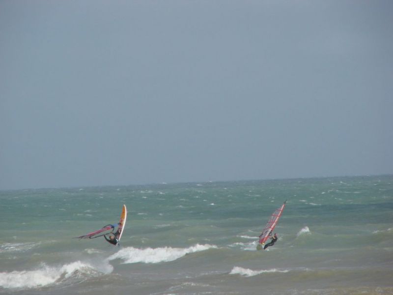 DSC00648