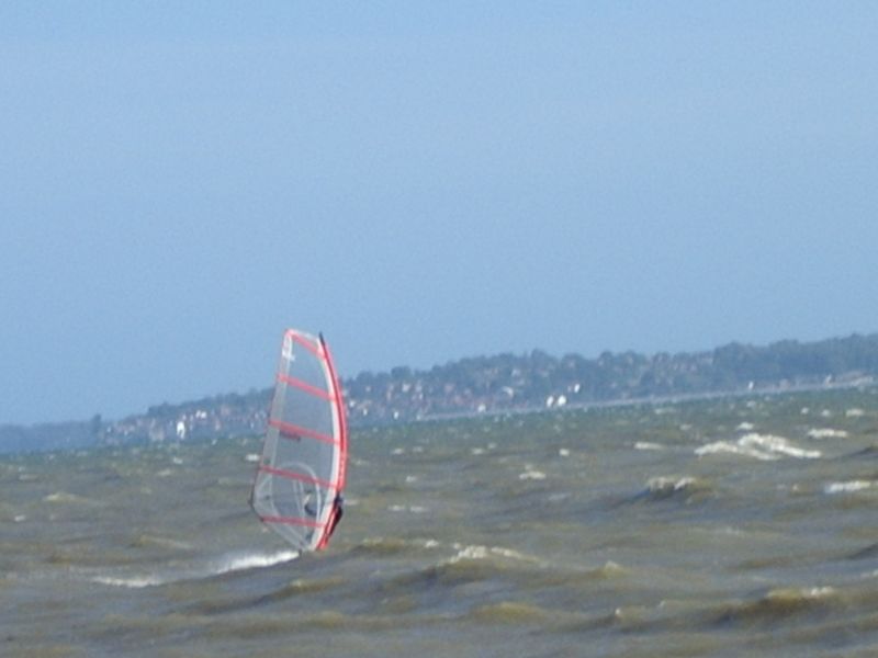 IMGP0969