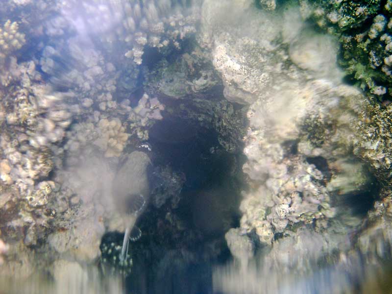dahab2005-121