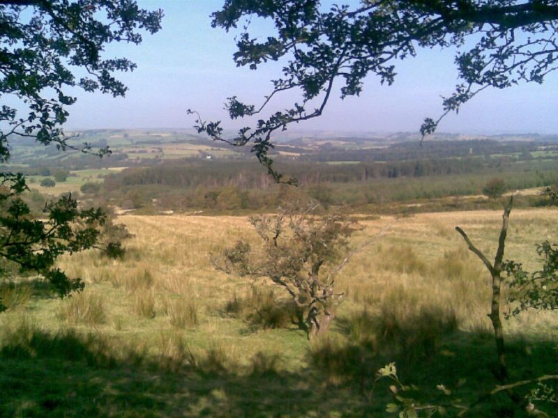 sept_2008_4