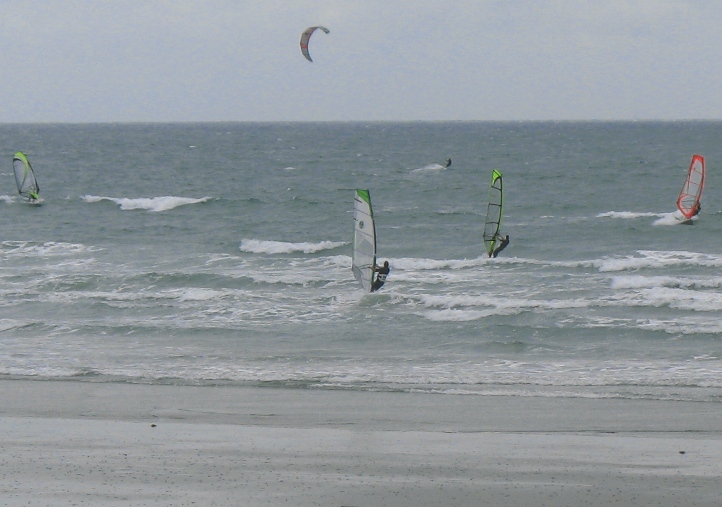 IMG_6498(crop__50%)