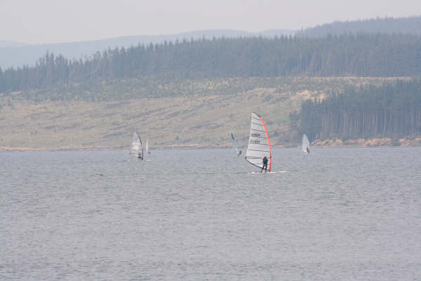 Kielder_Lake_May2008_(202)