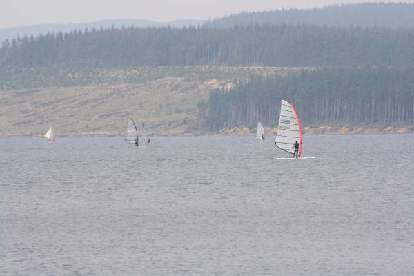 Kielder_Lake_May2008_(204)