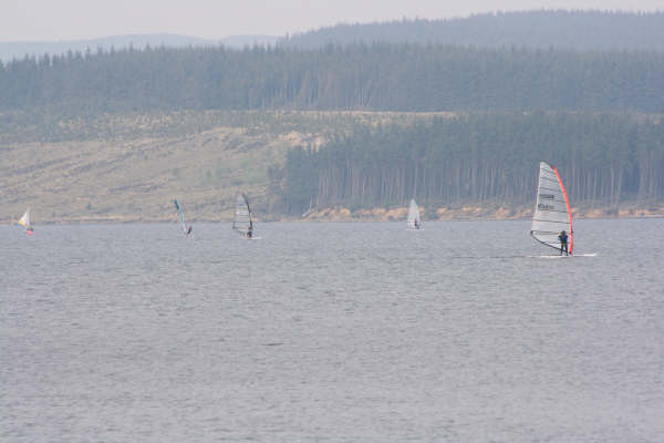 Kielder_Lake_May2008_(205)