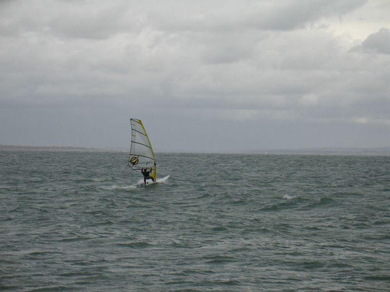 Timster_3